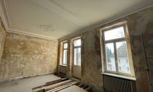 Charmantes im Villenviertel – 53173 Bonn – Vorschaubild 4