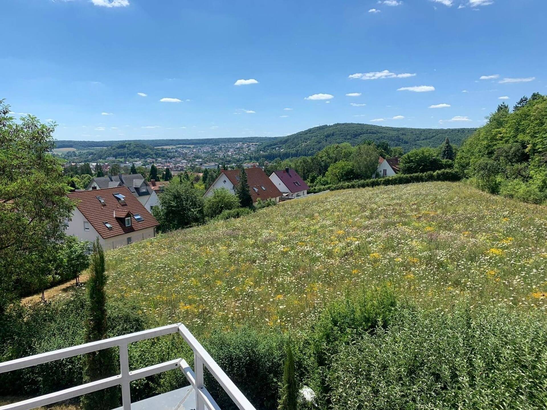 Einfamilienhaus in 97688 Bad Kissingen mit 307 m² kaufen
