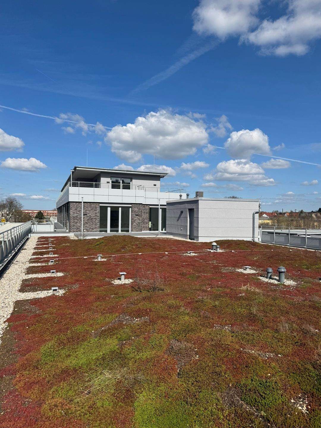 Einzigartiges Penthaus mit 330 qm Dachgarten im Herzen der Südstadt – Hannover – Vorschaubild 8