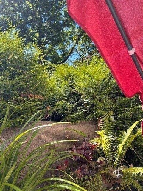 ruhige Wohnanlage direkt am Park! – Leipzig – Vorschaubild 7