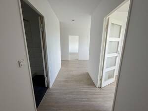 Jetzt Kaufnebenkosten sparen! - Attraktive Leerwohnunng in ruhiger Lage – 14055 Berlin – Vorschaubild 2