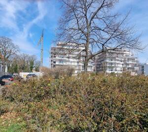Wohnen am Hanauer Platz in Mannheim – 68305 Mannheim – Vorschaubild 7
