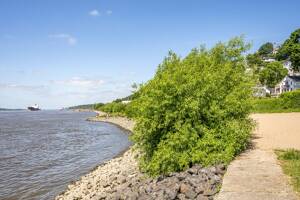 Zwischen Elbstrand und Treppenviertel – 22587 Hamburg – Vorschaubild 2
