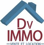 DV Immo logo