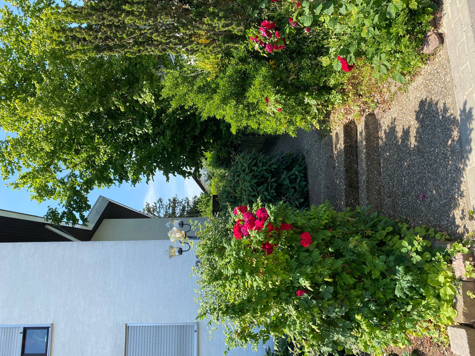 Attraktive 3-Zimmer-Wohnung mit Balkon in Karlsruhe-Stupferich – Karlsruhe – Vorschaubild 5