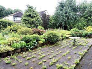 +++ Mehrfamilienhaus mit großen und hellen Wohnungen in Trier-Pfalzel zu verkaufen +++ – 54293 Trier – Vorschaubild 3