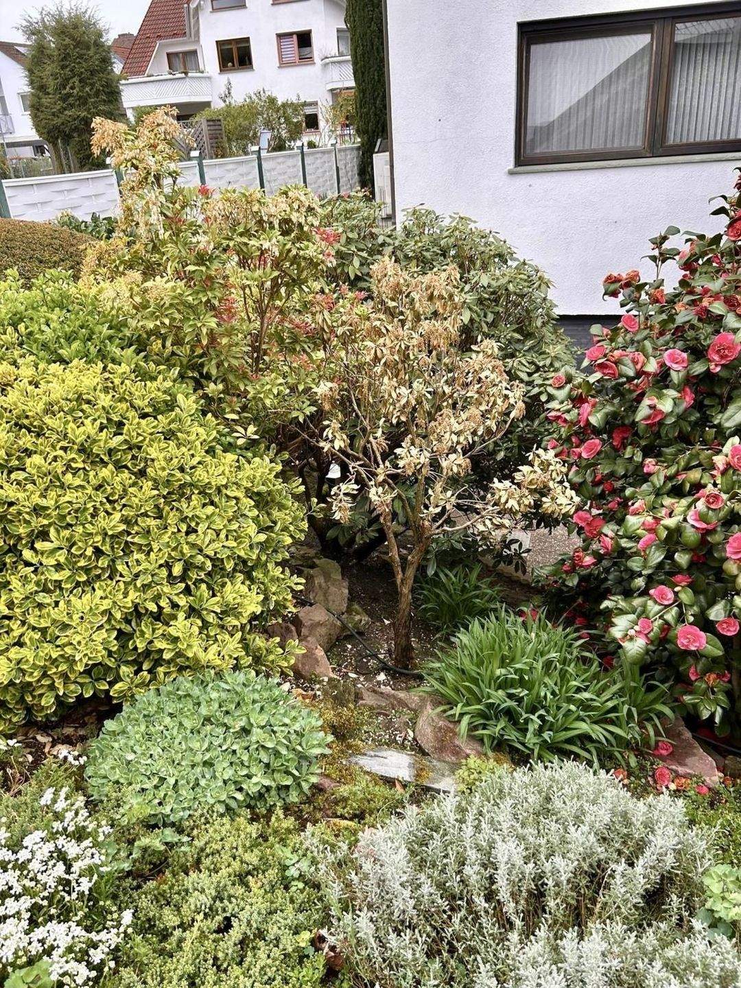 Villa - Großzügiges 2 Familienhaus mit Pool - TOP-Lage in Heusenstamm – Heusenstamm – Vorschaubild 5