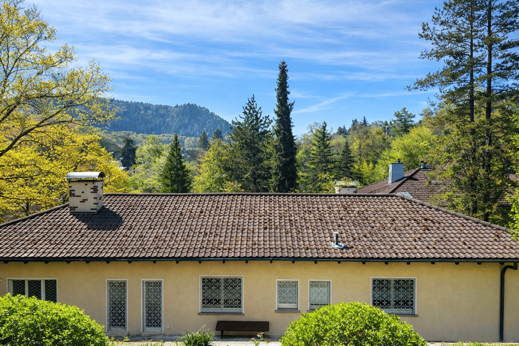 Panoramavilla in Bestlage von Baden-Baden – Baden-Baden – Vorschaubild 6