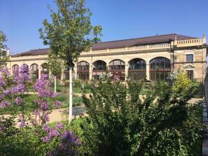 AREAS: Penthouse auf Gartenebene in der Dresdner Orangerie