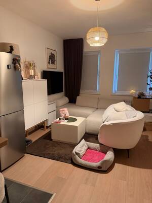 1-Zimmerwohnung mit eigenem Garten HH-Uhlenhorst Alsternähe – 22085 Hamburg – Vorschaubild 4