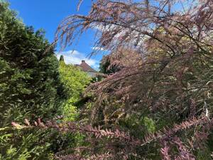 Doppelhaushälfte mit großem Garten in ruhiger Lage von Niederschönhausen – 13156 Berlin – Vorschaubild 4