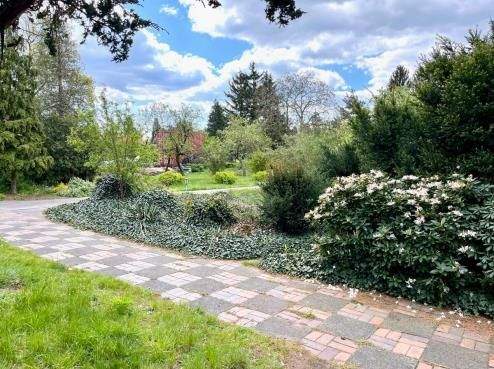 Einfamilienhaus in der Hellerauer Gartenstadt - Wohnen im Dresdner Norden – Dresden – Vorschaubild 2
