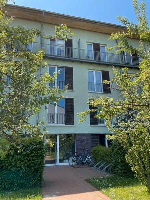 Renovierte 2 Zimmer Wohnung mit Loftfeeling in Pankow / Französisch Buchholz – 13127 Berlin – Vorschaubild 2