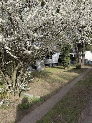 Haus im Bungalowstil als Fertigbau mit Pool, Nebengelass und großem Grundstück – 12524 Berlin – Vorschaubild 1