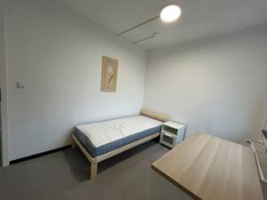 Starkes Renditeobjekt - Vermietete 3-Zimmer-WG als Investment – 23560 Lübeck – Vorschaubild 9