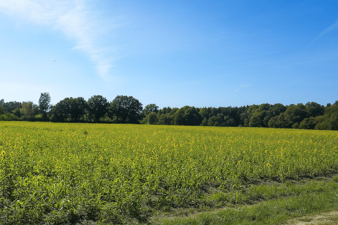 2 neuwertige ETW`s in gehobener Ausführung in Toplage von Tangstedt/Krs. Stormarn SH – Tangstedt – Bild 1 von 2