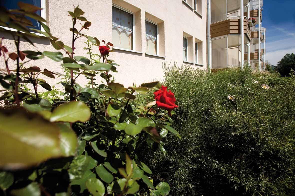 Wohnungsangebot Kirschweg 85 – Magdeburg – Vorschaubild 6