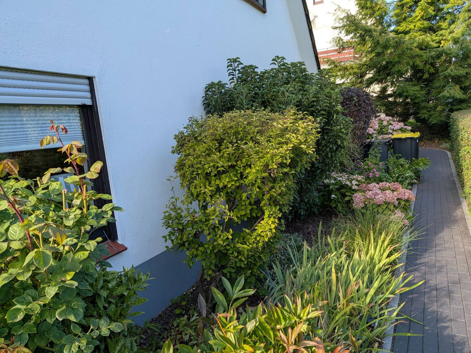 Haus in 23843 Bad Oldesloe mit 123,5 m² kaufen