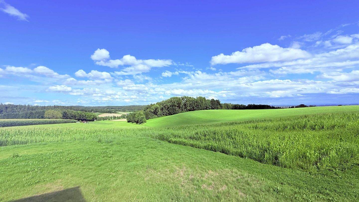 ... AIGNER - Traumlage! Neubau EFH in erhöhter Position mit Bergblick - 10 Min nach Mühldorf & A94 ... – Niederbergkirchen – Vorschaubild 3
