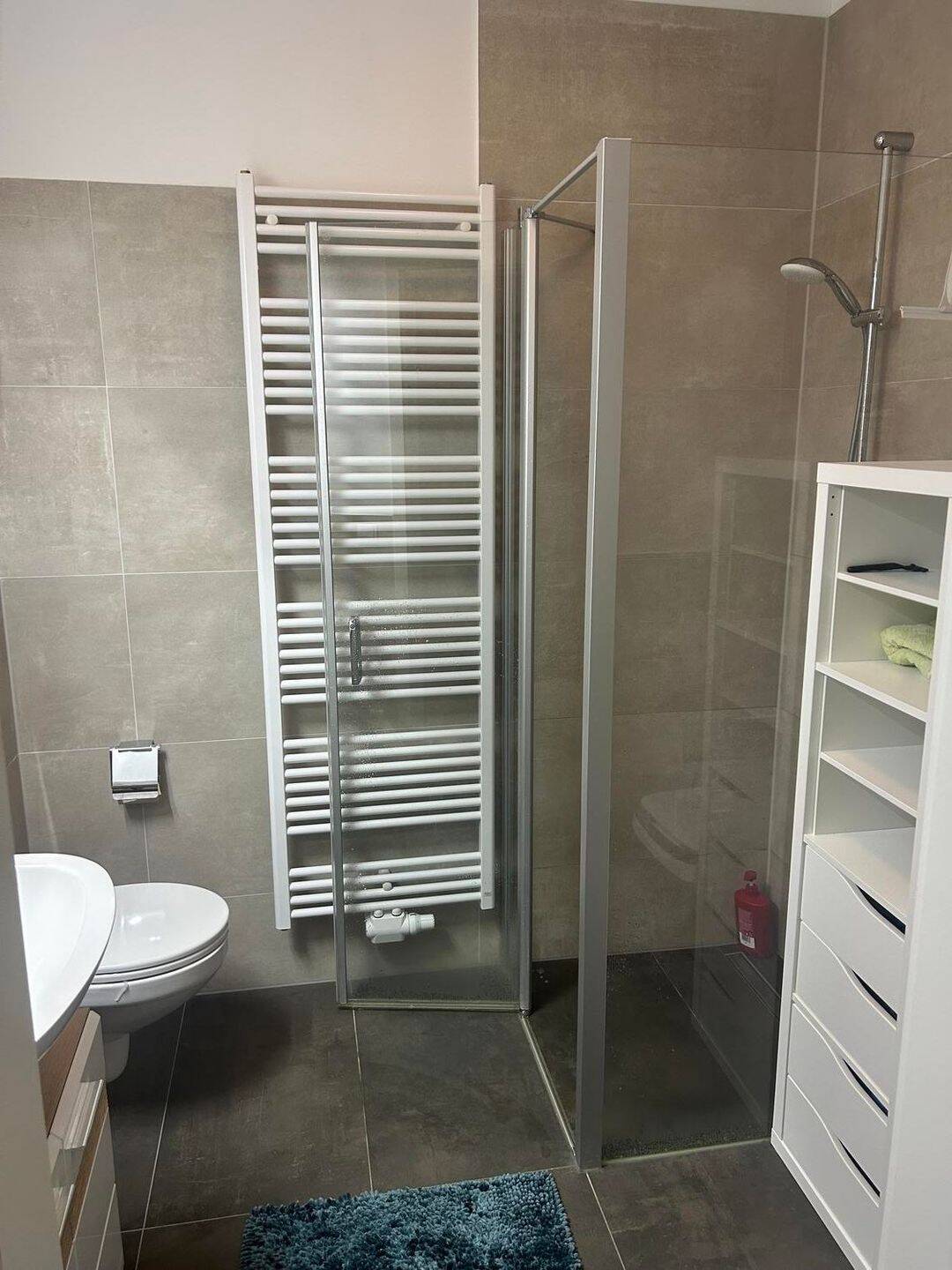 modernes Single-Appartment mit Fußbodenheizung und Terrasse im Schloßviertel – Chemnitz – Vorschaubild 5