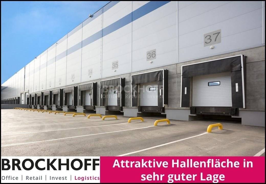 Hallenflächen ab ca. 10.000 bis 20.000 m² | flexible Laufzeiten - auch Jahresverträge möglich