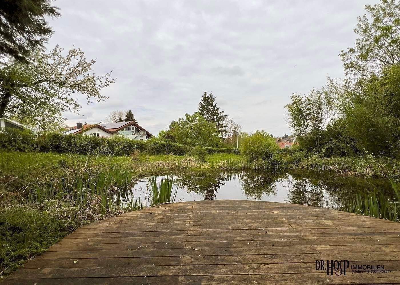 Grosses 2-Familien-Haus in BestLage + enorme Sanierungszuschüsse + riesiges Grundstück + mit Schwimmteich + ... Bezug kurzfristig möglich – Müllheim – Vorschaubild 2