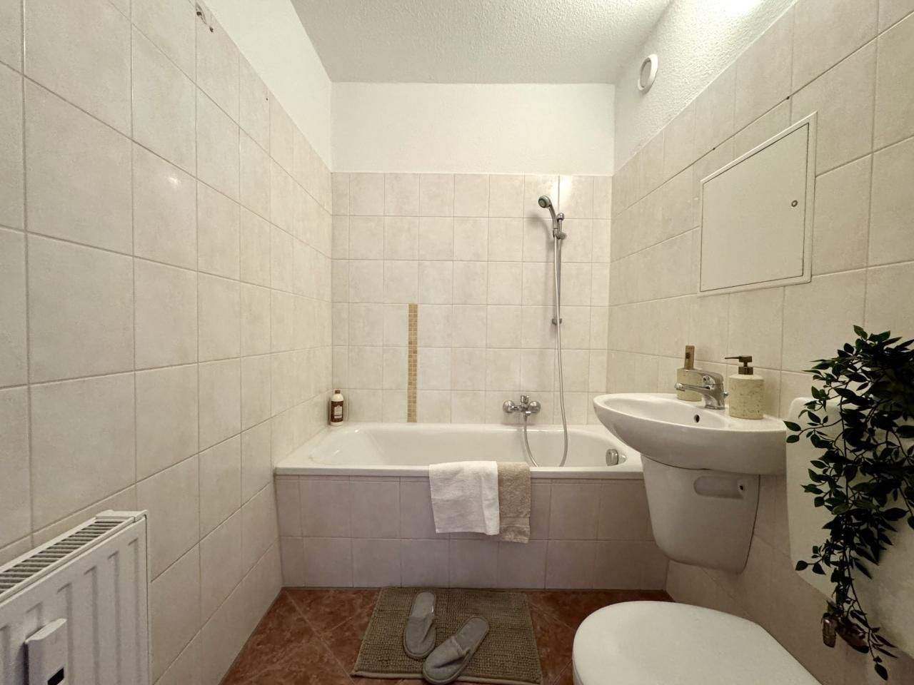 Praktische 3-Raum-Wohnung für die kleine Familie – Chemnitz – Vorschaubild 4