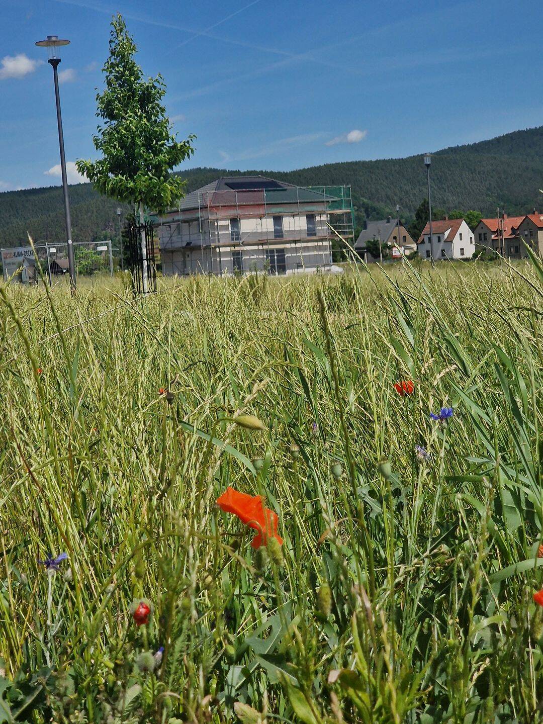 Baustellensafari in Saalfeld – Saalfeld/Saale – Vorschaubild 3