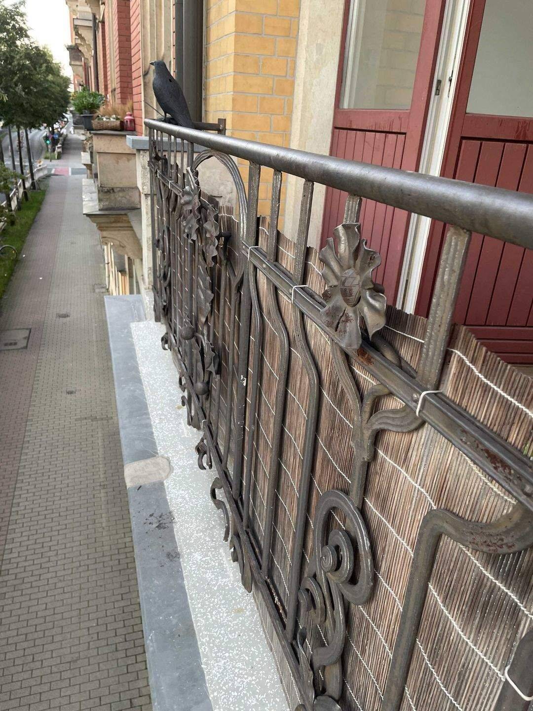 Gemütliche helle 2 Raumwohnung – Dresden – Vorschaubild 5