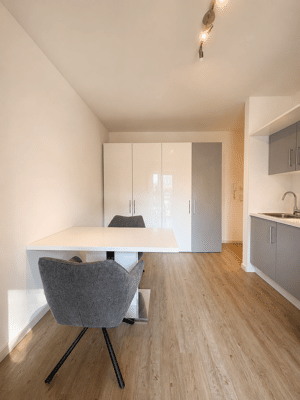 Möbliertes & modernes Apartment mit All-In-Miete – 85053 Ingolstadt – Vorschaubild 7