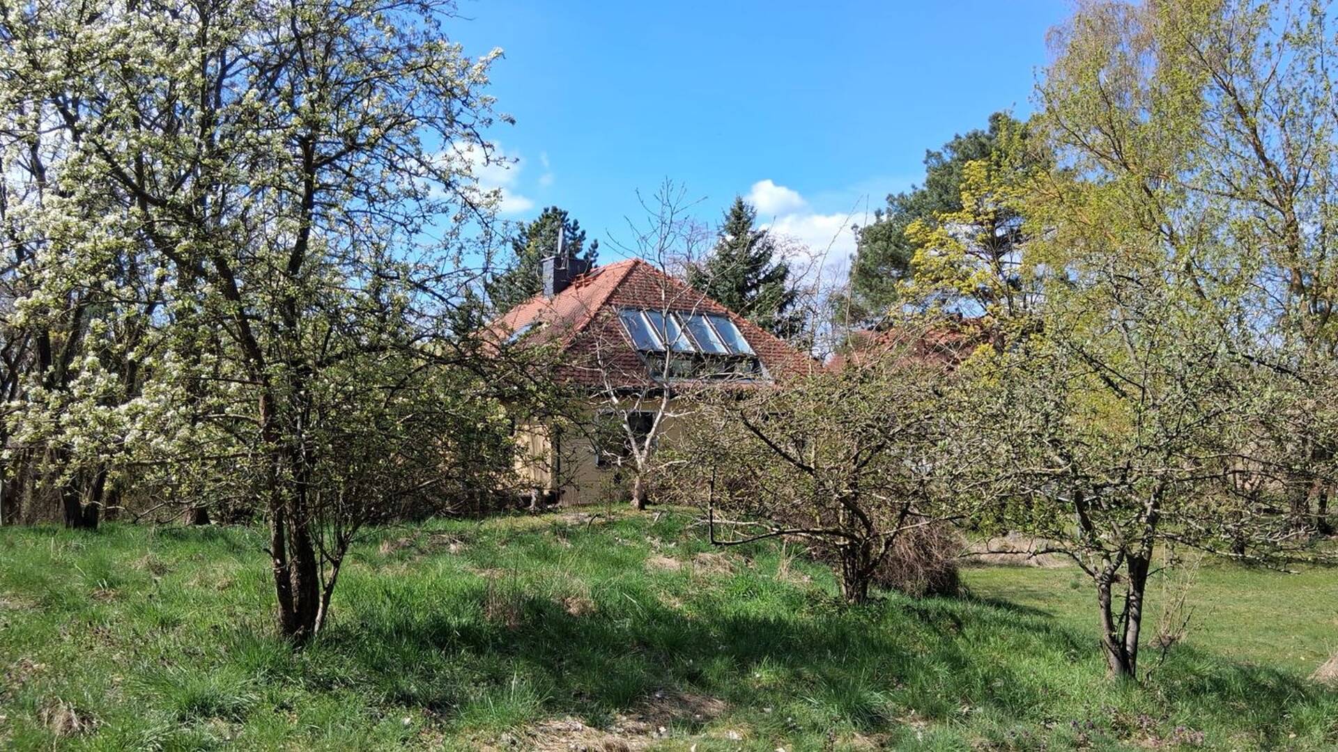 Einfamilienhaus in 14776 Brandenburg an der Havel mit 137 m² kaufen
