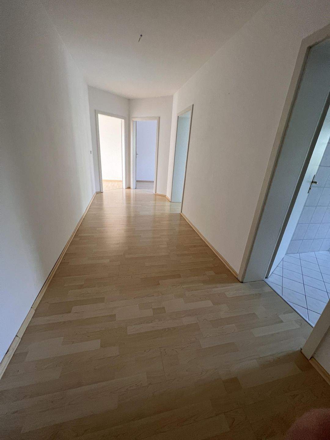 ruhige Seitenstraße, Tageslichtbad, große Küche – Chemnitz – Vorschaubild 4