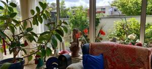 Wunderschöne 2-Zimmer-Wohnung mit eigenem Gartenhof im Terrassenhaus Hannover – 30455 Hannover – Vorschaubild 4
