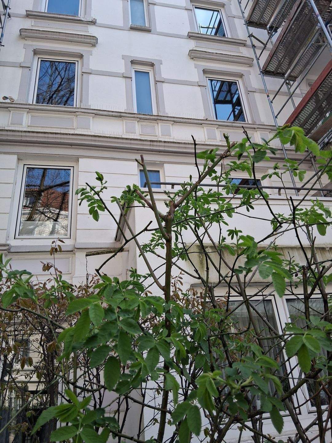 frei - Hoheluft West - freie Eigentumswohnung - 1 OG - zauberhaft - Dielen Stuck - kleine Dachterrasse - bezugsfertig – Hamburg – Vorschaubild 7