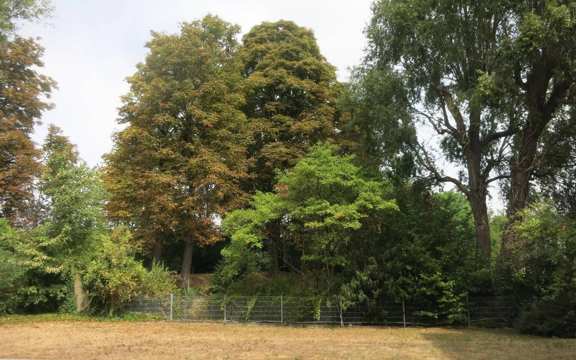 Loft/Studio/Atelier in 51063 Köln - Mülheim mit 34 m² kaufen