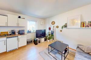 ** Die perfekte Kapitalanlage: Lichtdurchflutetes Apartment mit Balkon in City Wohnlage ** – 85055 Ingolstadt – Vorschaubild 4
