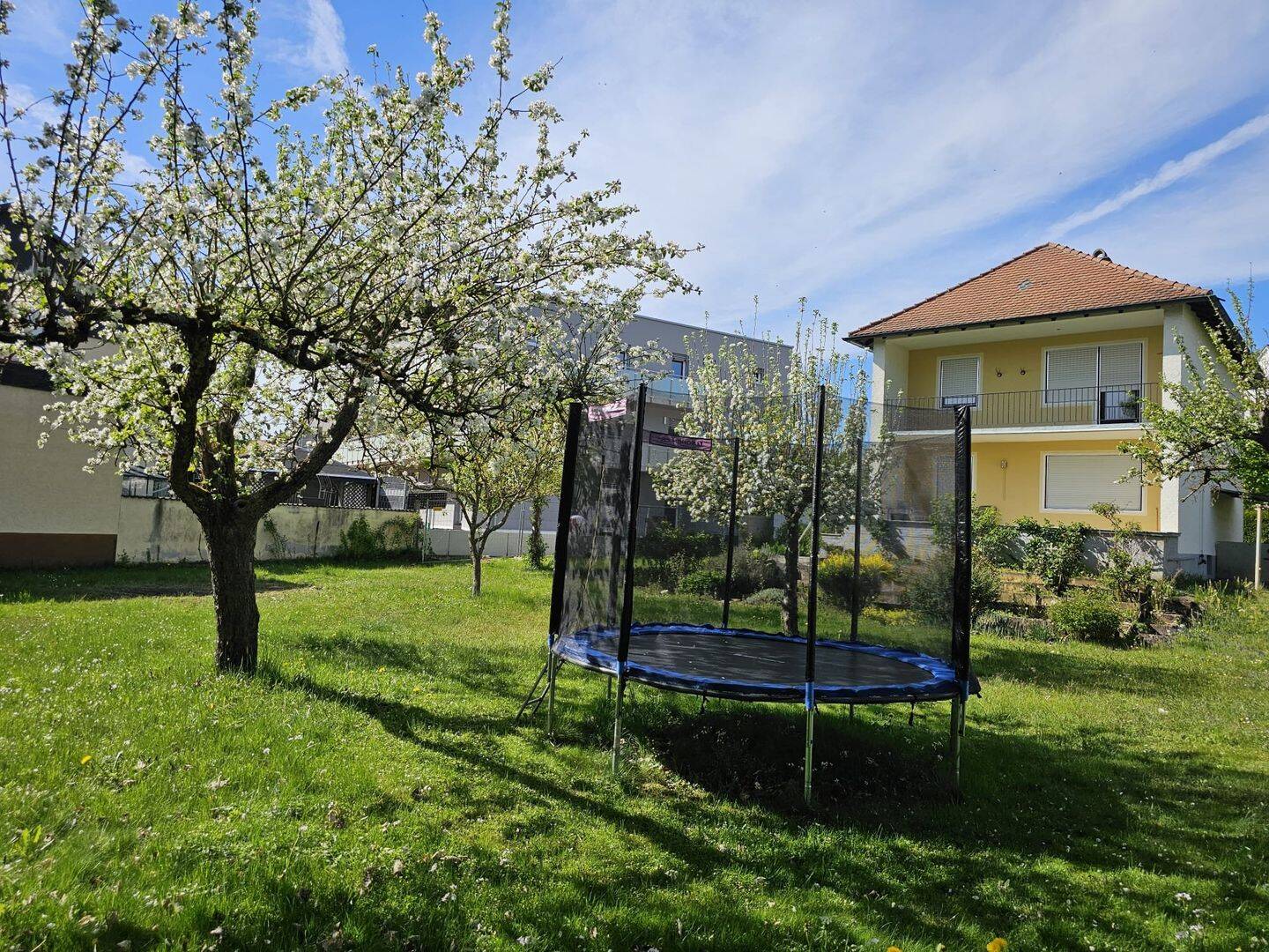 Einfamilienhaus mit großem Grundstück in zentraler Lage von Ingolstadt – Ingolstadt – Vorschaubild 3