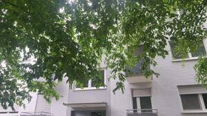 Gepflegte Wohnanlage mit dauerhaft attraktivem Wohncharakter – 93059 Regensburg – Vorschaubild 5