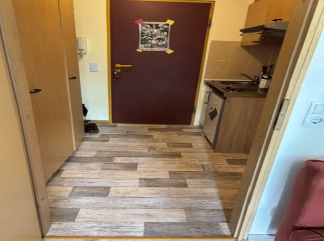 Uni-Nähe Charmantes 1-Zimmer-Apartment mit Balkon und PKW-Stellplatz – Trier – Vorschaubild 2