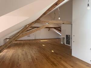 Charmantes Loft !!!!Stadt-Wohnung mit großer Terrasse und Stellplatz im Herzen von Konstanz – 78462 Konstanz – Vorschaubild 5