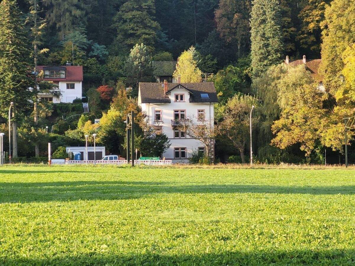 Fabrik-Etage + sep Eingang + Wohnen+Arbeiten + Gründerzeit-4-FamHs + GartenHaus + Garten am Bach + mit Sanierungskonzept – 79100 Freiburg im Breisgau – Bild 1 von 9
