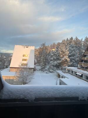 Ferien-Whg. _ im Schwarzwald – 78089 Unterkirnach – Vorschaubild 3