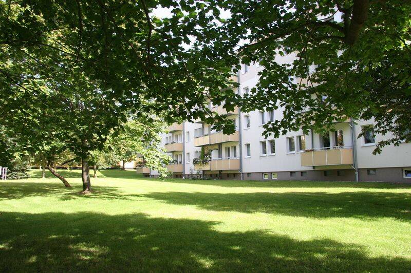 Gekommen, um zu bleiben... Nähe KLINIKUM – Chemnitz – Vorschaubild 9
