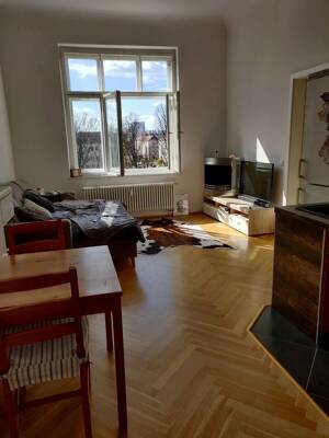seltene Gelegenheit! wohnen in sonniger & ruhiger Lage am grossen Garten-EBK möglich ! – 1309 Dresden – Vorschaubild 3