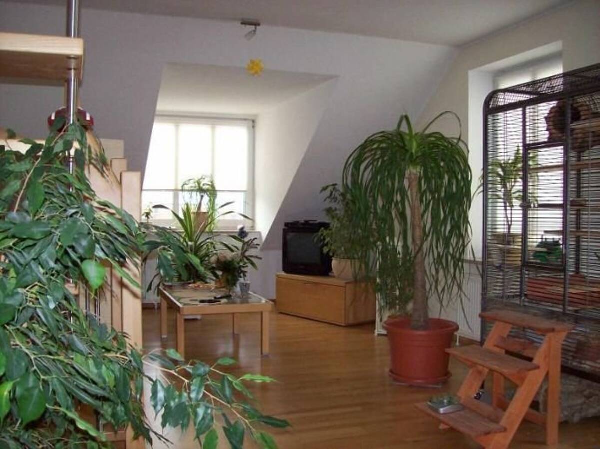 Lichtdurchflutete Maisonettewohnung, perfekt für Singles oder junge Paare, provisionsfrei – 22159 Hamburg – Bild 1 von 8