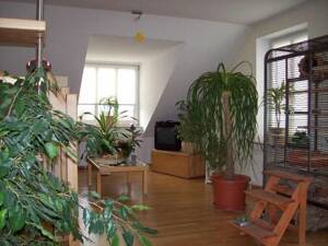 Lichtdurchflutete Maisonettewohnung, perfekt für Singles oder junge Paare, provisionsfrei
