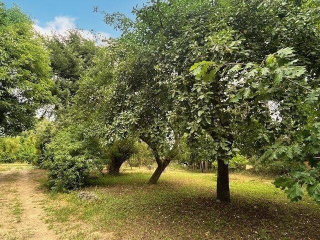 Landliebe trifft Berlinnähe – Kremmen – Vorschaubild 9
