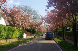 Top-Lage Marienthal, 3 Fam.hs., absolut ruhig – 22043 Hamburg – Vorschaubild 3