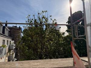 Moderne 3-Zimmer-Wohnung mit Balkon! – 40237 Düsseldorf – Vorschaubild 8