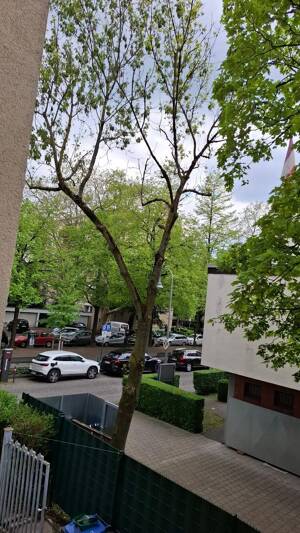 ++LINDENTHAL! Einziehen und Wohlfühlen: Schicke, modernisierte 3-Zimmer-Wohnung mit Balkon++ – 50931 Köln – Vorschaubild 4